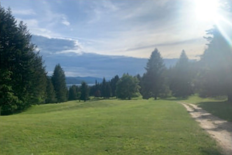 fairway with cart path on the side